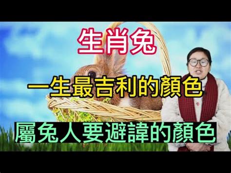 兔年幸運色|2025年屬兔的幸運色是什麼？解讀兔年運勢與色彩的關聯